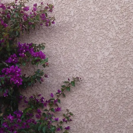 Hébergement de vacances Les Bastides Du Cap