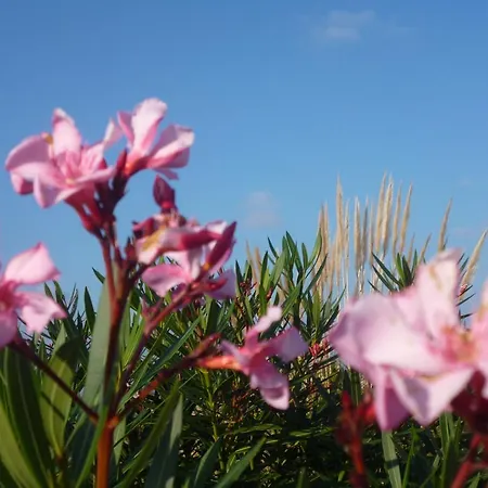 Les Bastides Du Cap Hébergement de vacances Le Barcarès