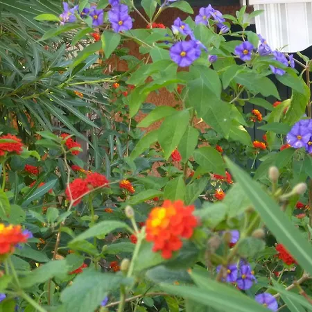Les Bastides Du Cap Hébergement de vacances