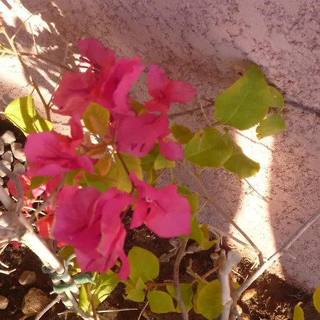 Les Bastides Du Cap 別荘